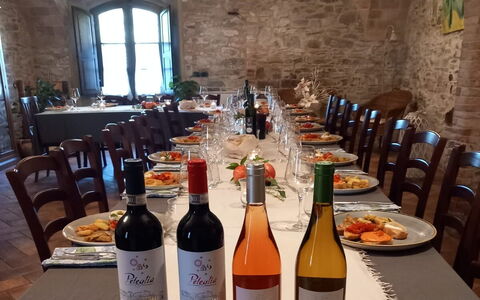 Podere Peteglia: Möbel, Flasche, Restaurant, Stuhl, Wein, Zimmerpflanze, Glasflasche, Barware, Küche & Esszimmer Tisch