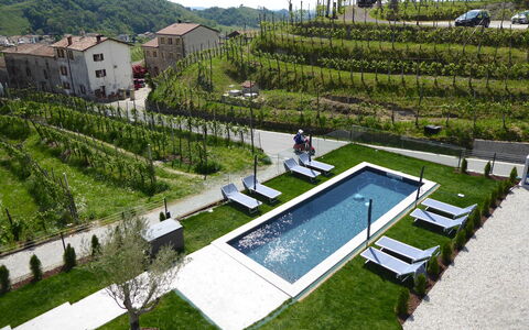 Villa Valdobbiadene Pool Spa: Urban Design, Garten, Garten, Schwimmbad, Landscaping, Landwirtschaft, Plantage, Vogelperspektive, Hinterhof, Villa