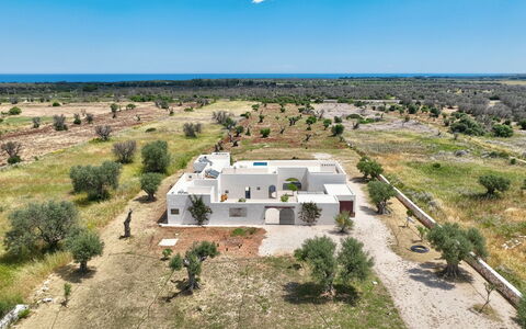Terracorte Villa: Landschaft, Die Architektur, Grundstueck, Einfach, Zuhause, Estate, Landscaping, Dorf, Hazienda, Bauernhaus