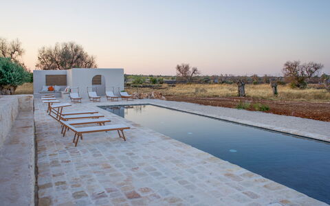 Terracorte Villa: Verbundwerkstoff, Schwimmbad, Reflexion, Reflecting Pool, Water Feature, Gartenmöbel