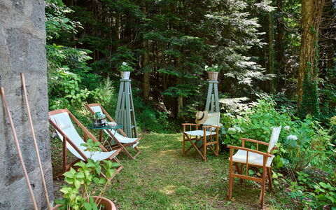 Il Gallinaio, Vivo D'Orcia: Holz, Vegetation, Möbel, Pflanzengemeinschaft, Gartenmöbel, Kofferraum, Garten, Ground, Frühling, Stuhl