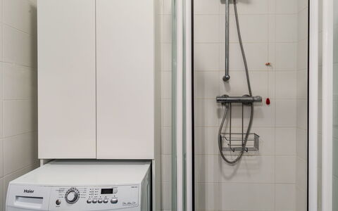 Gaggia: Waschmaschine, Armatur, Badezimmer, Interior Design, Wäschetrockner, Flooring, Major Appliance, Installation, Fussboden, Sinken
