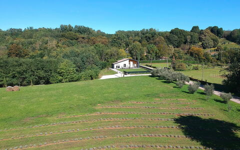 Villa Dolce Bosco with Pool, Valdobbiadene: Baum, Gras, Einfach, Landschaft, Wiese, Strauch, Ländliches Gebiet, Grundstueck, Ground