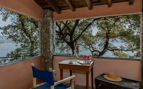 Portofino: Holz, Küsten Und Ozeanische Forms, Küste, Meer, Schatten, Ufer, Balkon, Stuhl, Bucht, Reservoir