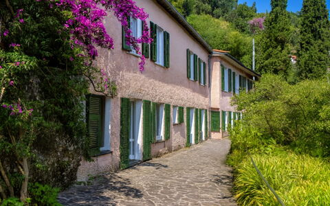 Portofino: Strauch, Frühling, Garten, Walkway