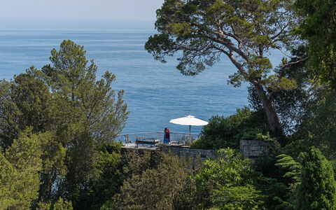 Portofino: Baum, Blatt, Vegetation, Küsten Und Ozeanische Forms, Küste, Schatten, Urlaub, Gartenmöbel, Tropen