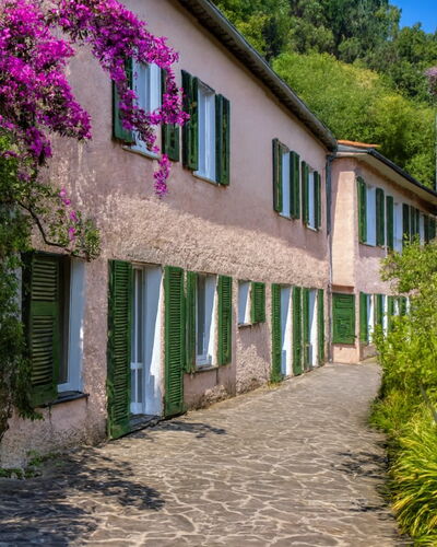 Portofino: Strauch, Frühling, Garten, Walkway