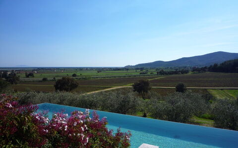 Castelprile: Blau, Schwimmbad, Estate, Bauernhaus, Plantage, Landscaping, Eco Hotel, Hazienda, Villa, Resort
