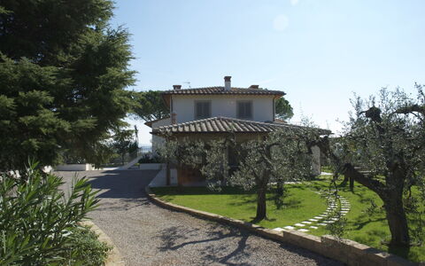 Castelprile: Wohngebiet, Zuhause, Haus, Dach, Strauch, Estate, Hütte, Garten, Hazienda