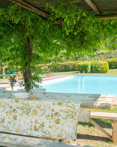 Martini: Schatten, Garten, Schwimmbad, Eco Hotel, Hazienda, Gartenmöbel, Resort, Hinterhof, Plantage, Outdoor Struktur