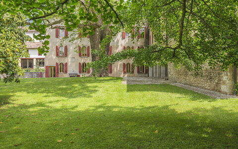Jasmine Villa: Strauch, Garten, Rasen, Frühling, Estate, Garten, Landscaping, Hazienda, Hinterhof, Park