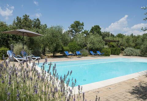 Villa El Olivar: Schwimmbad, Garten, Estate, Landscaping, Gartenmöbel, Hazienda, Resort, Villa, Hinterhof, Bauernhaus