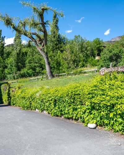 Maisonette Grand Soleil: Grün, Strauch, Garten, Ground, Frühling, Schatten, Landscaping, Rasen, Hecke, Botanischer Garten