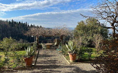 Villa Il Casalino, Florentine Hills with Pool: Vegetation, Strauch, Landschaft, Pflanzengemeinschaft, Blumentopf, Garten, Landscaping, Botanischer Garten, Walkway