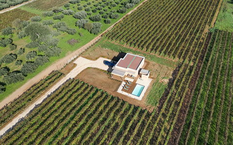 Mami: Plantage, Einfach, Grundstueck, Landwirtschaft, Feld, Vogelperspektive, Estate, Landscaping, Luftaufnahmen, Garten