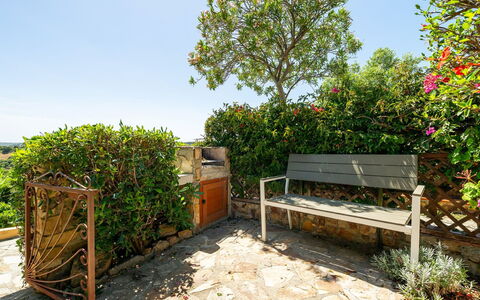 Casetta nel Blu: Strauch, Garten, Blumentopf, Pflanzengemeinschaft, Möbel, Frühling, Gartenmöbel, Außenbank, Landscaping