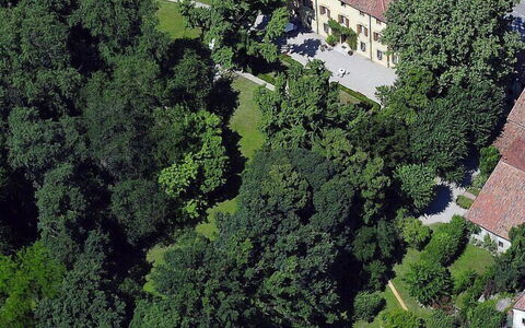 Villa Castellani: Baum, Wohngebiet, Haus, Strauch, Zuhause, Grundstueck, Estate, Menschliche Siedlung, Rasen, Villa