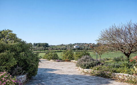 Trulli al Verde Viburno: Strauch, Garten, Pflanzengemeinschaft, Ground, Landscaping, Gehölz, Botanischer Garten, Schatten, Hecke