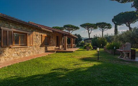 Villa Bolgheri Vermentino Castagneto Carducci: Holz, Zuhause, Hütte, Haus, Dach, Estate, Grundstueck, Ländliches Gebiet, Bauernhaus, Garten