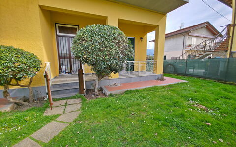 Casa Serena: Strauch, Garten, Rasen, Garten, Hinterhof, Landscaping, Schatten, Hecke, Hof, Walkway