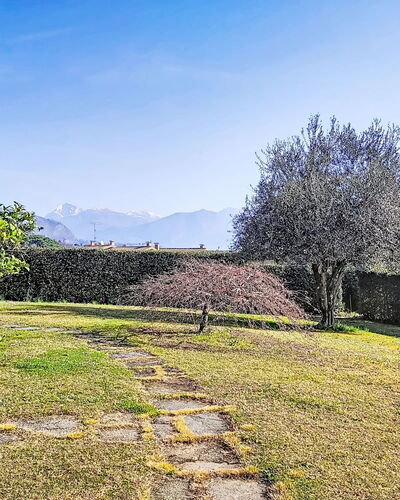 Casa Molgisio: Landschaft, Garten, Ground, Rasen, Landscaping, Garten, Park, Hinterhof, Walkway, Bauernhaus