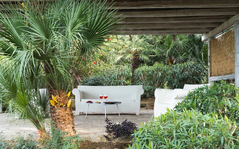 Villa Milo: Vegetation, Strauch, Garten, Pflanzengemeinschaft, Gartenmöbel, Schatten, Landscaping, Hinterhof, Eco Hotel