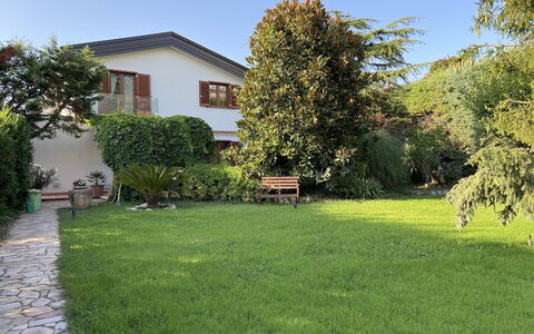 Villa Ava: Gras, Haus, Garten, Strauch, Wohngebiet, Zuhause, Rasen, Grundstueck, Hinterhof