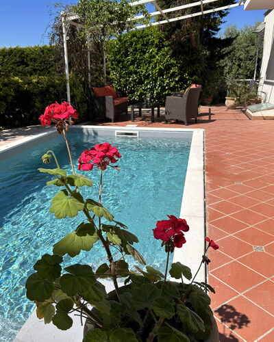 Villa Ava: Blumentopf, Schwimmbad, Garten, Schatten, Zimmerpflanze, Landscaping, Hinterhof, Garten, Water Feature