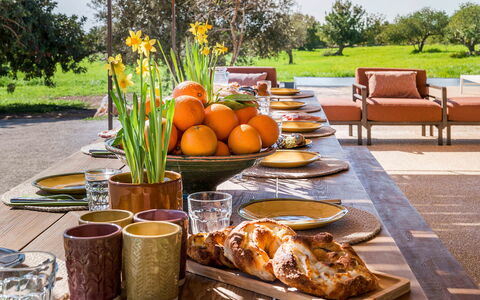 Villa del Sole: Geschirr, Möbel, Essen, Tabelle, Servierware, Obst, Blumentopf, Dishware, Drinkware, Teller