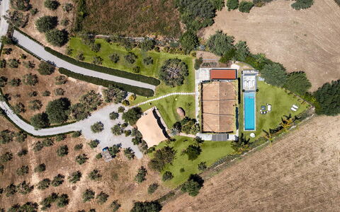 Villa Monica: Baum, Landschaft, Wohngebiet, Einfach, Grundstueck, Estate, Zuhause, Ländliches Gebiet, Luftaufnahmen, Vogelperspektive
