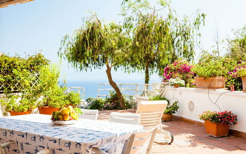 Casa Dorothea 1: Blume, Möbel, Blumentopf, Tabelle, Stuhl, Zimmerpflanze, Balkon, Gartenmöbel, Tisch Im Freien