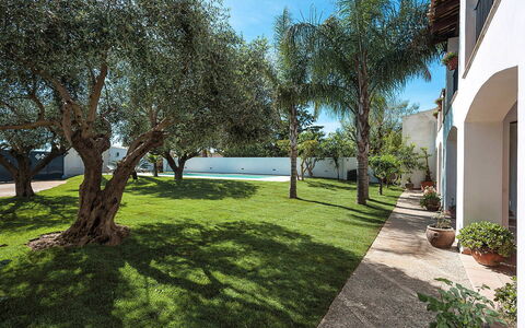 Casa Kita: Garten, Schatten, Rasen, Landscaping, Estate, Gehölz, Hinterhof, Garten, Hazienda, Hof