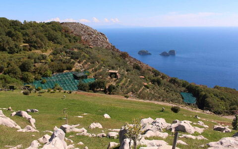 The Sea Farmhouse: \Fels, Meer, Terrain, Küsten Und Ozeanische Forms, Küste, Ozean, Bergstation, Vorgebirge, Landspitze