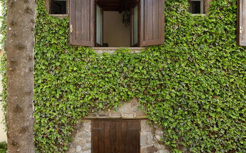 The Sea Farmhouse: Wand, Grün, Strauch, Frühling, Garten, Steinwand, Schatten, Hecke, Home Door