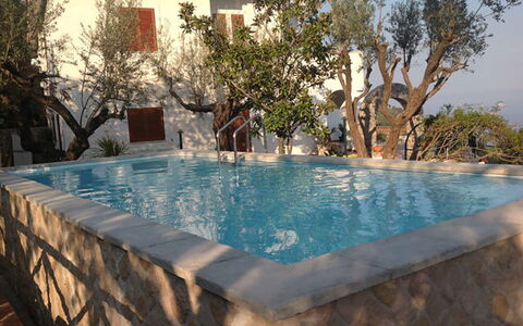 Villa Sea Breeze: Schwimmbad, Verbundwerkstoff, Water Feature, Resort, Eco Hotel, Hinterhof, Gartenmöbel, Zimmerpflanze, Villa, Blumentopf