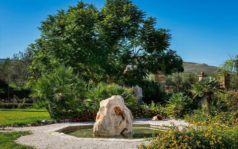 Villa Thyrrenia: Natur, Blatt, Vegetation, Strauch, Garten, Landschaft, \Fels, Pflanzengemeinschaft, Botanischer Garten