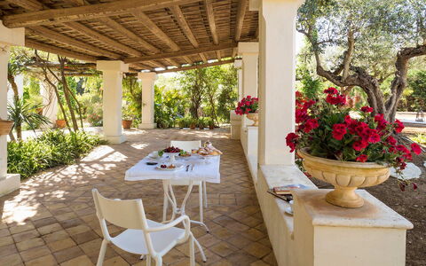 Green Villa: Möbel, Tabelle, Stuhl, Blumentopf, Garten, Küche & Esszimmer Tisch, Zimmerpflanze, Flagstone, Schatten, Resort