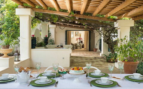 Green Villa: Möbel, Tabelle, Interior Design, Stuhl, Blumentopf, Decke, Küche & Esszimmer Tisch, Zimmerpflanze, Esszimmer, Restaurant