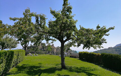 Il Giardino di Ravello: Blatt, Ast, Baum, Vegetation, Strauch, Pflanzengemeinschaft, Frühling, Kofferraum, Garten, Gehölz
