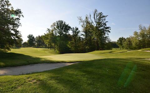 Verbano: Baum, Gras, Wiese, Einfach, Grundstueck, Golfplatz, Wiese, Weide