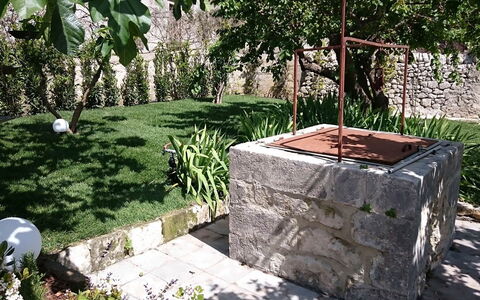 Villa Acreide: Strauch, \Fels, Garten, Ground, Hinterhof, Flagstone, Landscaping, Schatten, Garten