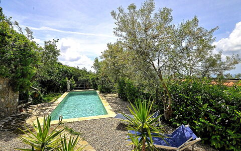 Villa del Mare: Blau, Strauch, Garten, Landscaping, Hinterhof, Schwimmbad, Schatten, Garten, Water Feature, Walkway