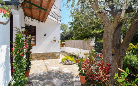 Villa del Mare: Blume, Blumentopf, Garten, Flagstone, Zimmerpflanze, Landscaping, Garten, Hinterhof, Hazienda