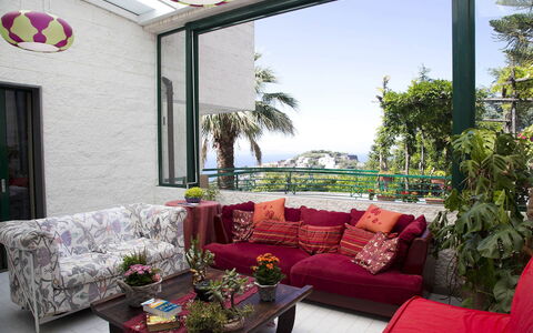 Villa Felicia: Möbel, Couch, Interior Design, Wohnzimmer, Tabelle, Zuhause, Blumentopf, Dekokissen