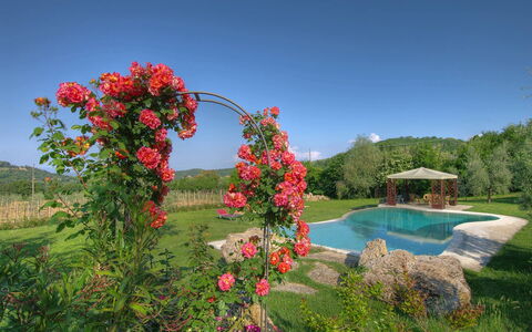 Villa Incanto: Blume, Strauch, Garten, Blütenblatt, Frühling, Blühende Pflanze, Rose Family, Gartenrosen, Landscaping, Plantage