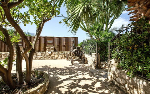 Villa Isabella: Garten, Schatten, Landscaping, Flagstone, Hinterhof, Garten, Auffahrt, Hof