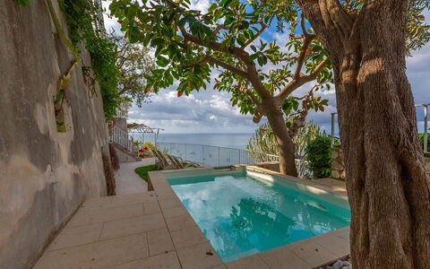 Villa Magnolia: Meer, Schwimmbad, Ozean, Küste, Resort, Freizeit, Urlaub, Schatten, Tropen, Eco Hotel