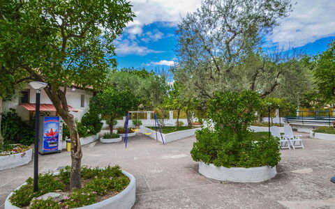 Casa Primavera: Gehölz, Schatten, Garten, Landscaping, Garten, Hazienda, Auffahrt, Hof, Hinterhof