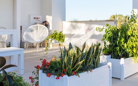 Villa Salentina: Blumentopf, Strauch, Zimmerpflanze, Garten, Floristik, Blumendesign, Landscaping, Schnittblumen