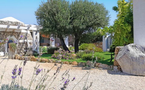 Villa la Rezza: Strauch, Garten, Ground, Landscaping, Garten, Schatten, Hinterhof, Rasen, Design